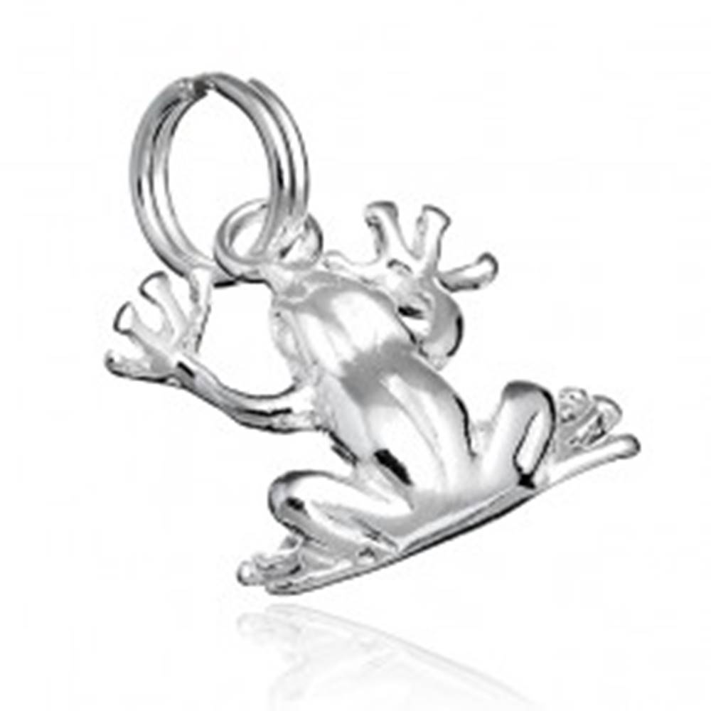 Šperky eshop Prívesok zo striebra 925 - lesklá žaba