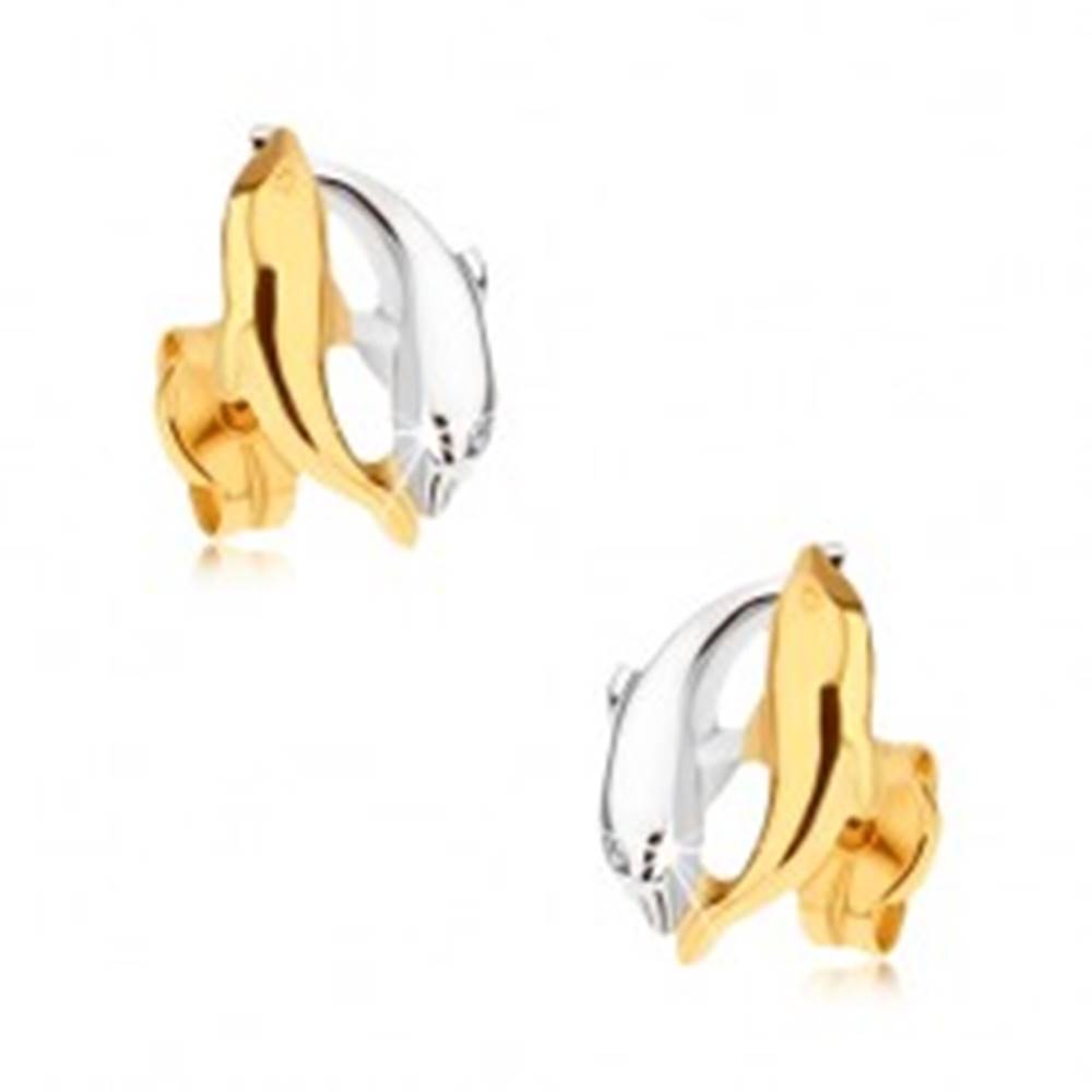 Šperky eshop Ródiované dvojfarebné náušnice v 9K zlate - dva skáčuce delfíny